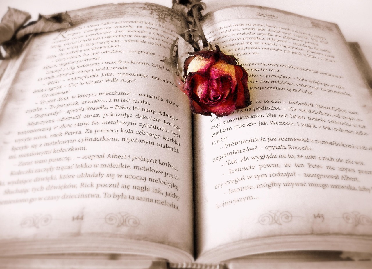 Literatura je podivuhodné setkání spřízněných duší. Stephen King